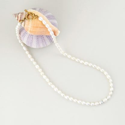 Freshwater pearl necklace arranged with shells on a soft white surface.